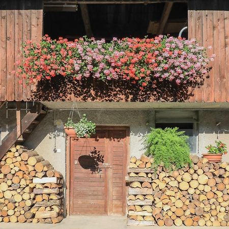 Apartment Krnicar Zgornje Gorje Екстериор снимка