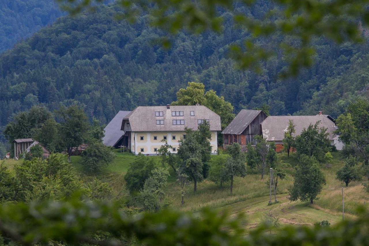 Apartment Krnicar Zgornje Gorje Екстериор снимка
