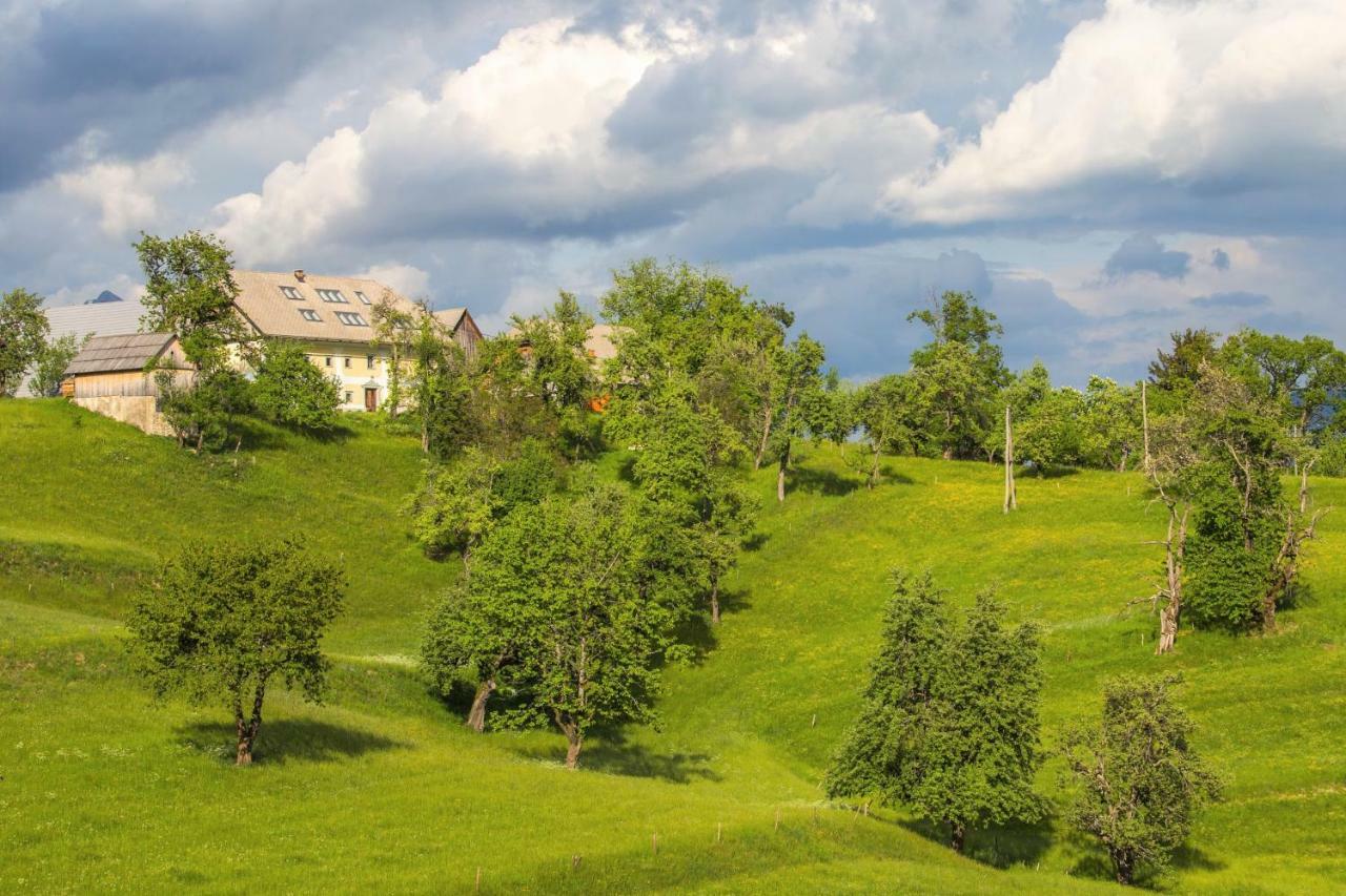 Apartment Krnicar Zgornje Gorje Екстериор снимка