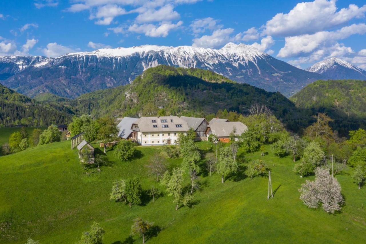 Apartment Krnicar Zgornje Gorje Екстериор снимка